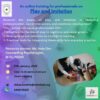 An online training for professionals on Play and Imitation