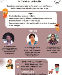 002 An online workshop for professionals on Sensory Integration Intervention for children with ASD