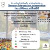 An online training for professionals on Sensory Integration Intervention for children with ASD